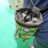 Thumbnail for A photo of the Climbing Chalk Bag.